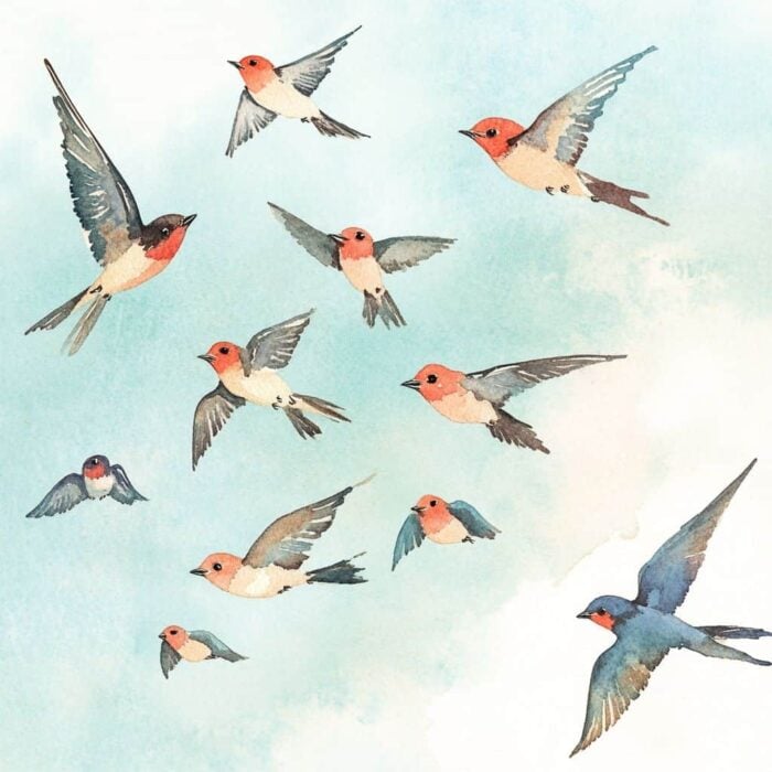 Poveste de culcare - Fulger este un erou