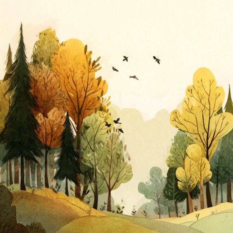 Poveste de seară - Pregătiri de iarnă